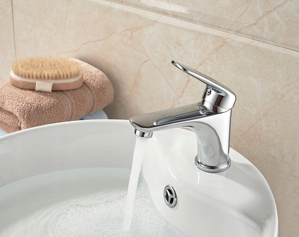 Praustuvo maišytuvas Ledeme