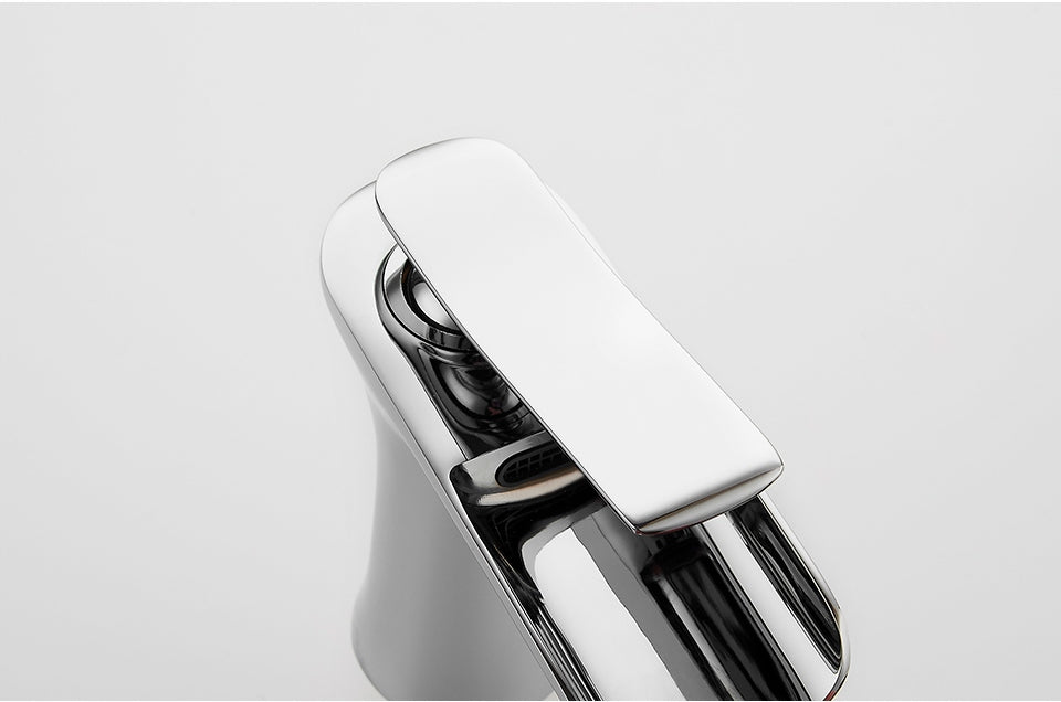 Praustuvo maišytuvas Ledeme