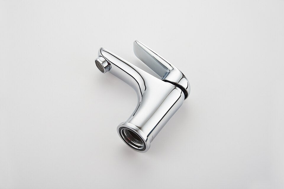 Praustuvo maišytuvas Ledeme