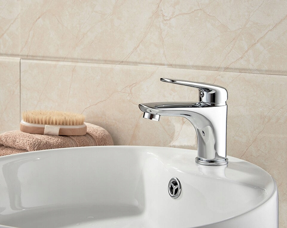 Praustuvo maišytuvas Ledeme