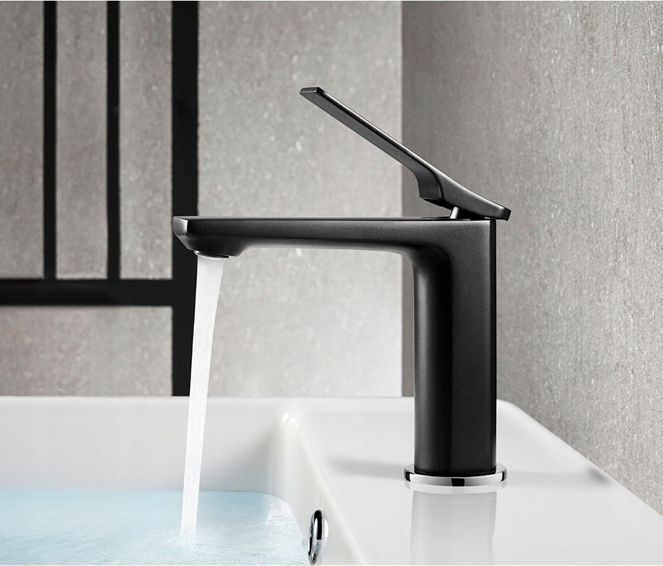 Praustuvo maišytuvas Ledeme, juodas