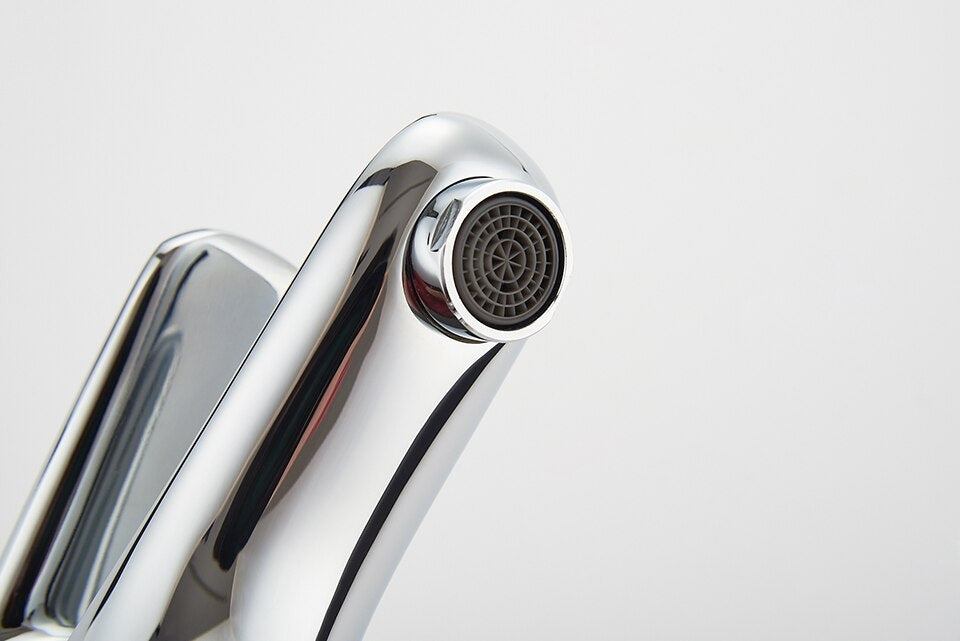 Praustuvo maišytuvas Ledeme