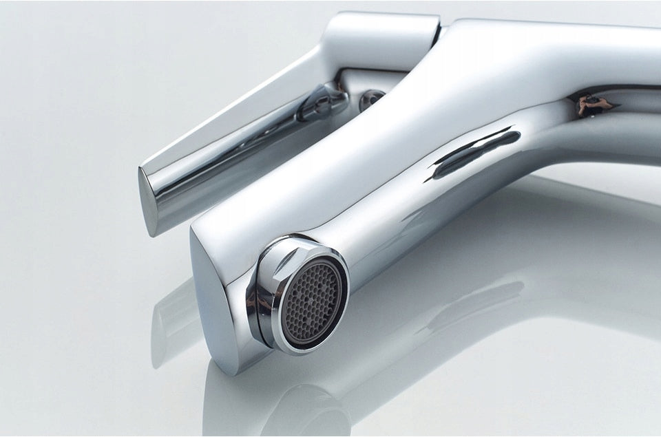 Praustuvo maišytuvas Ledeme