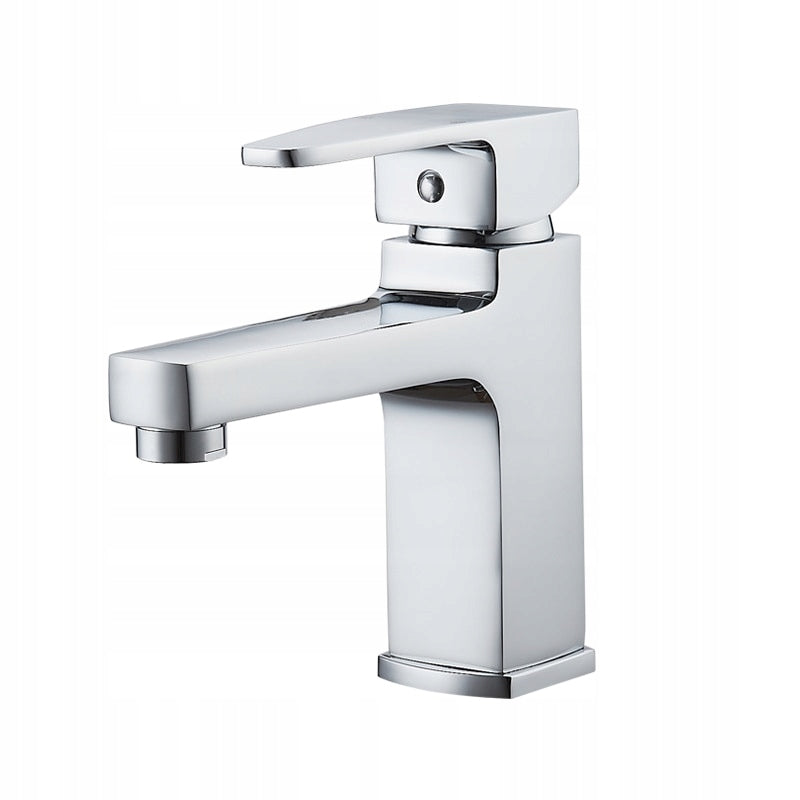 Praustuvo maišytuvas Ledeme