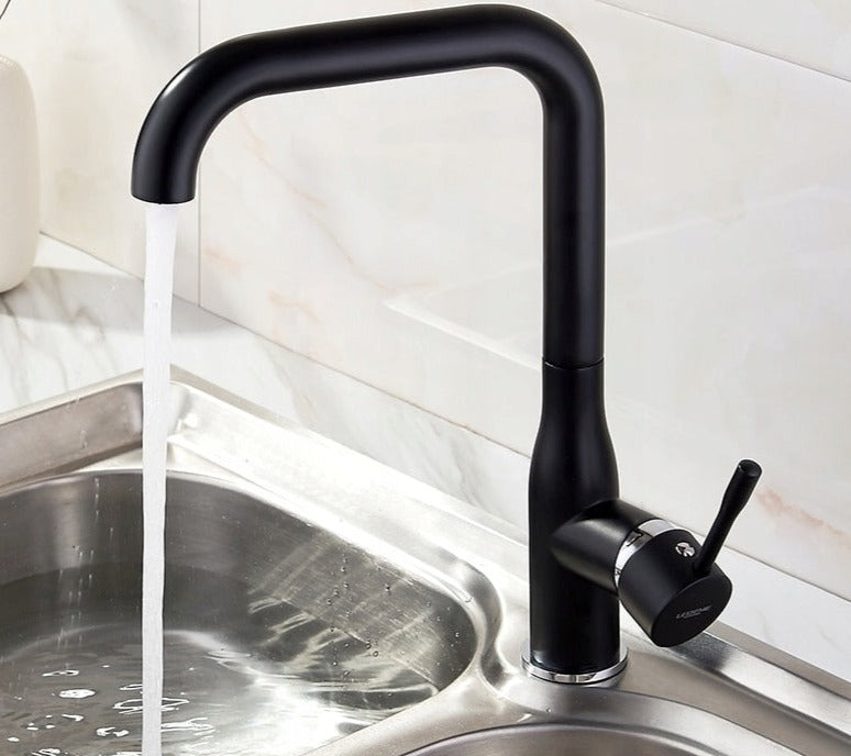 Virtuvinis maišytuvas Ledeme