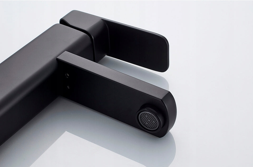 Praustuvo maišytuvas Ledeme, juodas