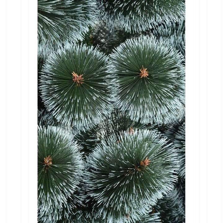 180cm Dirbtinė eglutė