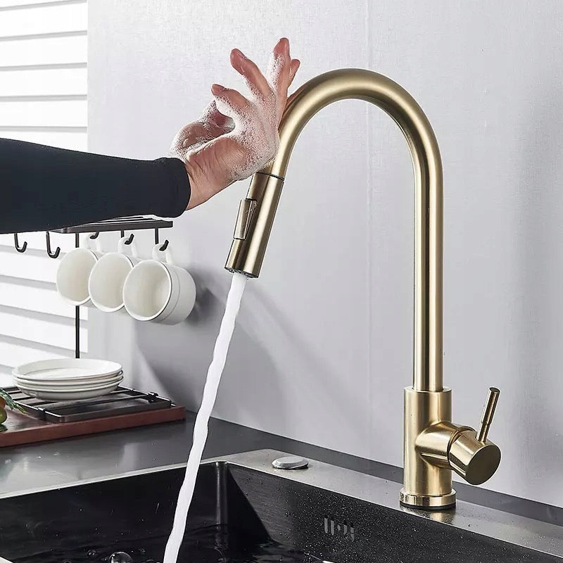 Virtuvinis maišytuvas RYGOTOUCH GOLD