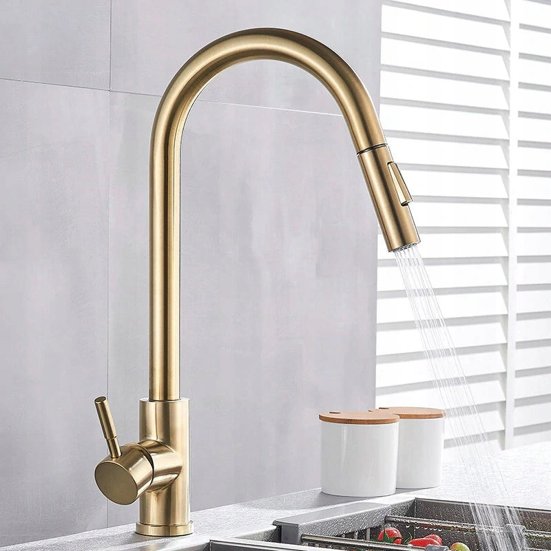 Virtuvinis maišytuvas RYGOTOUCH GOLD