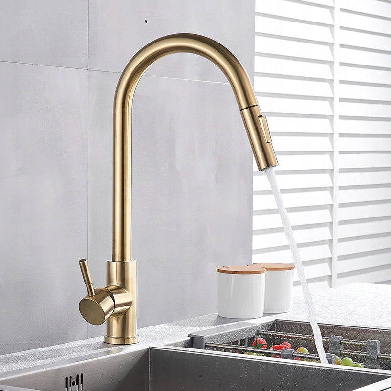 Virtuvinis maišytuvas RYGOTOUCH GOLD