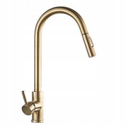 Virtuvinis maišytuvas RYGOTOUCH GOLD