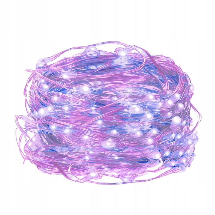 100 LED Kalėdinė girlianda