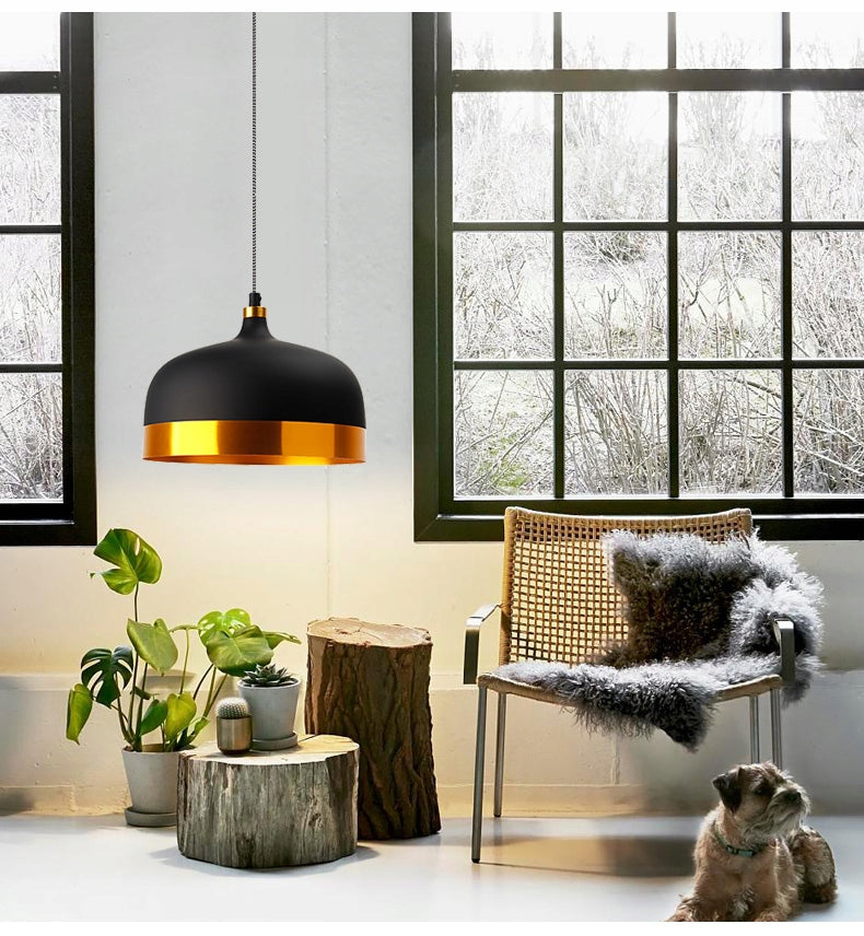 Pakabinamas šviestuvas TOOLIGHT FOX