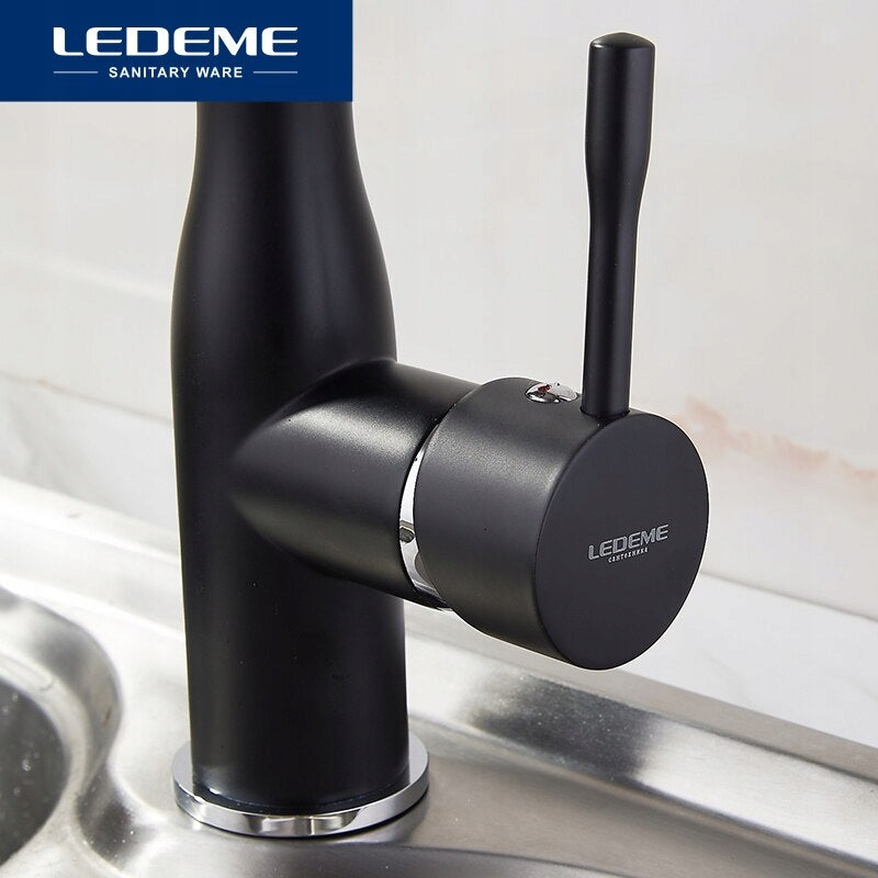 Virtuvinis maišytuvas Ledeme juodas