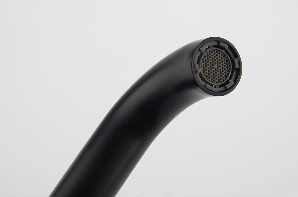 Virtuvinis maišytuvas Ledeme juodas