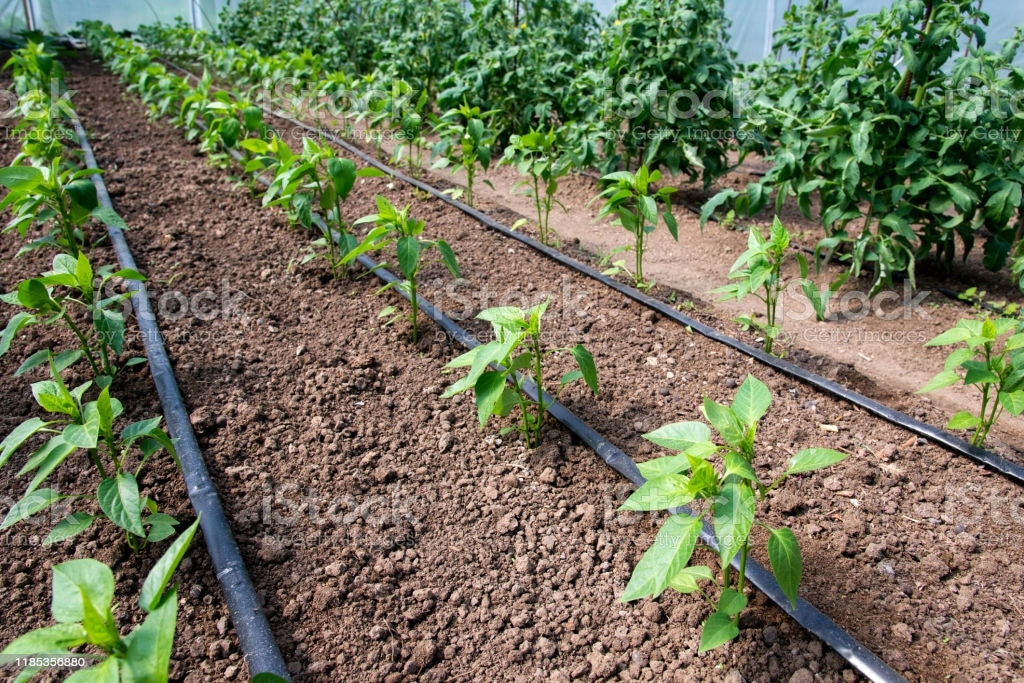 Lašelinė sodo/daržo laistymo sistema