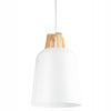 Pakabinamas šviestuvas SCANDI Wood