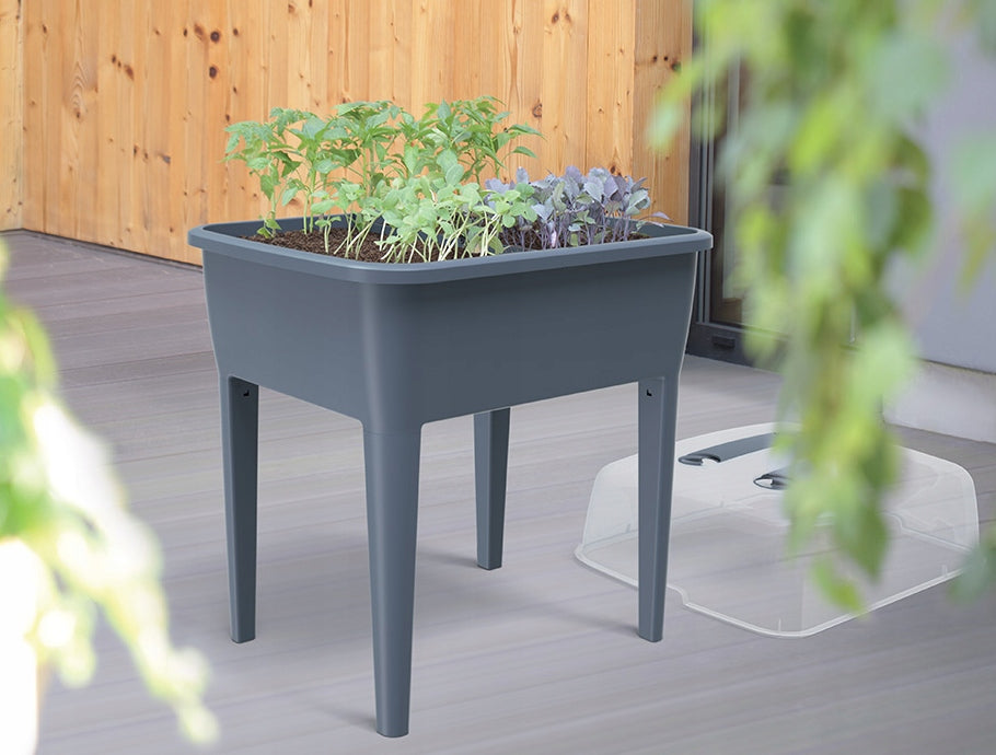 Mini šiltnamis 77 cm x 39 cm, plastikinis