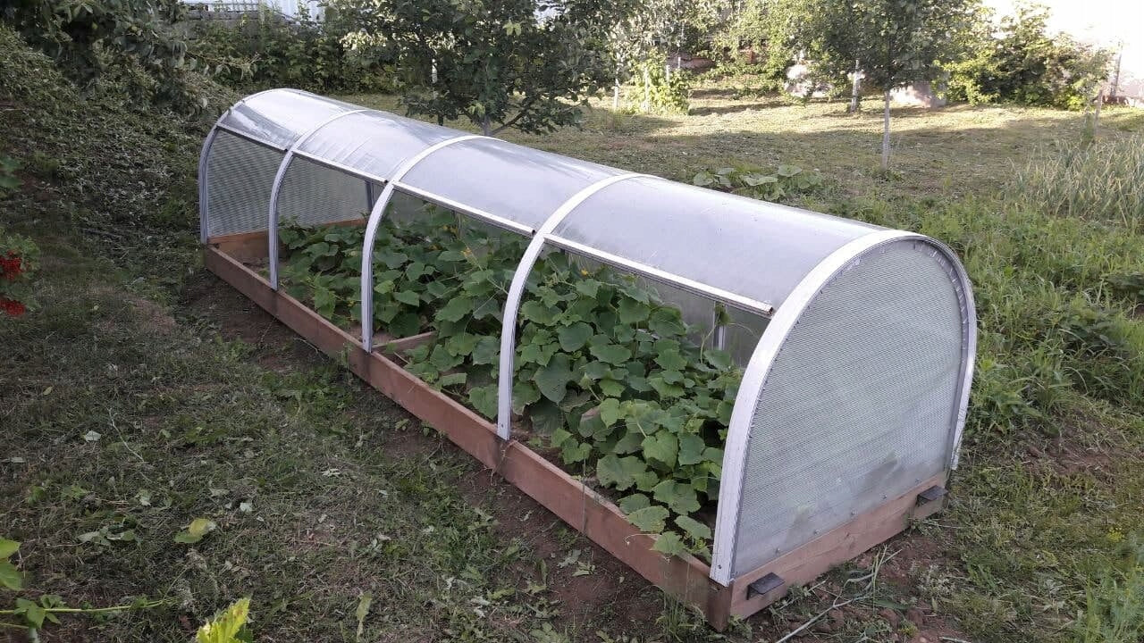 Inspekt mini šiltnamis iš polikarbonato 1,5 x 4 m