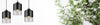 Pakabinamas šviestuvas Light Home Roma E27 3x60W
