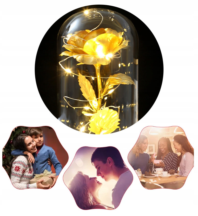 Amžina rožė + LED