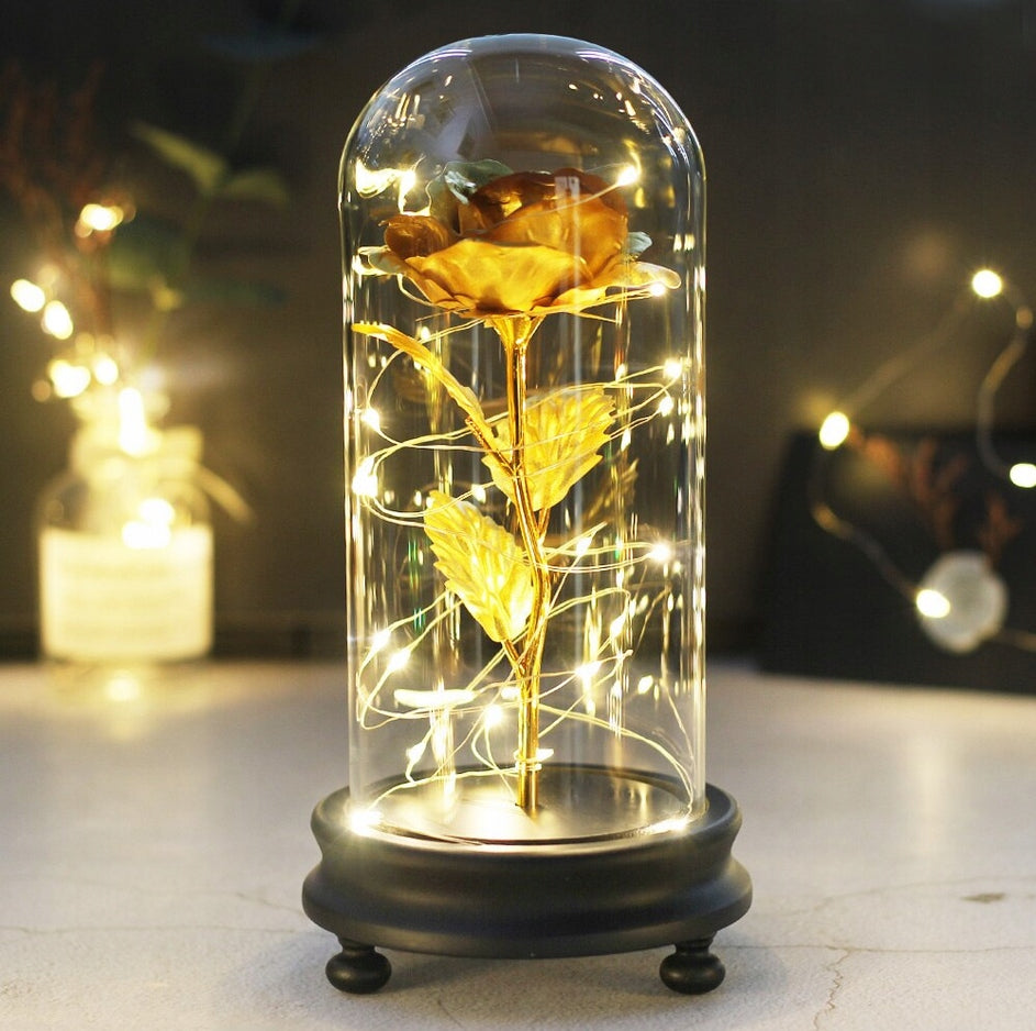 Amžina rožė + LED