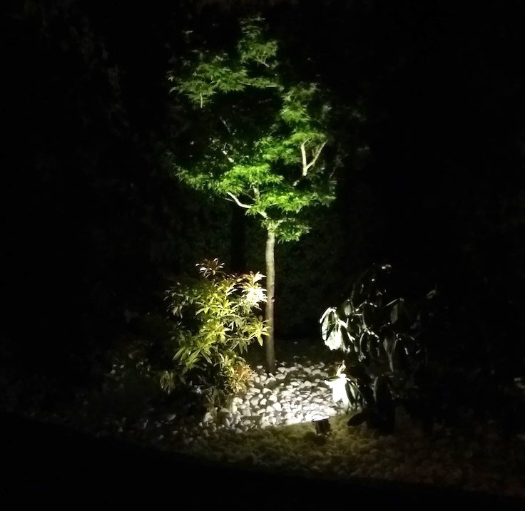 3W LED sodo prožektorius 12V