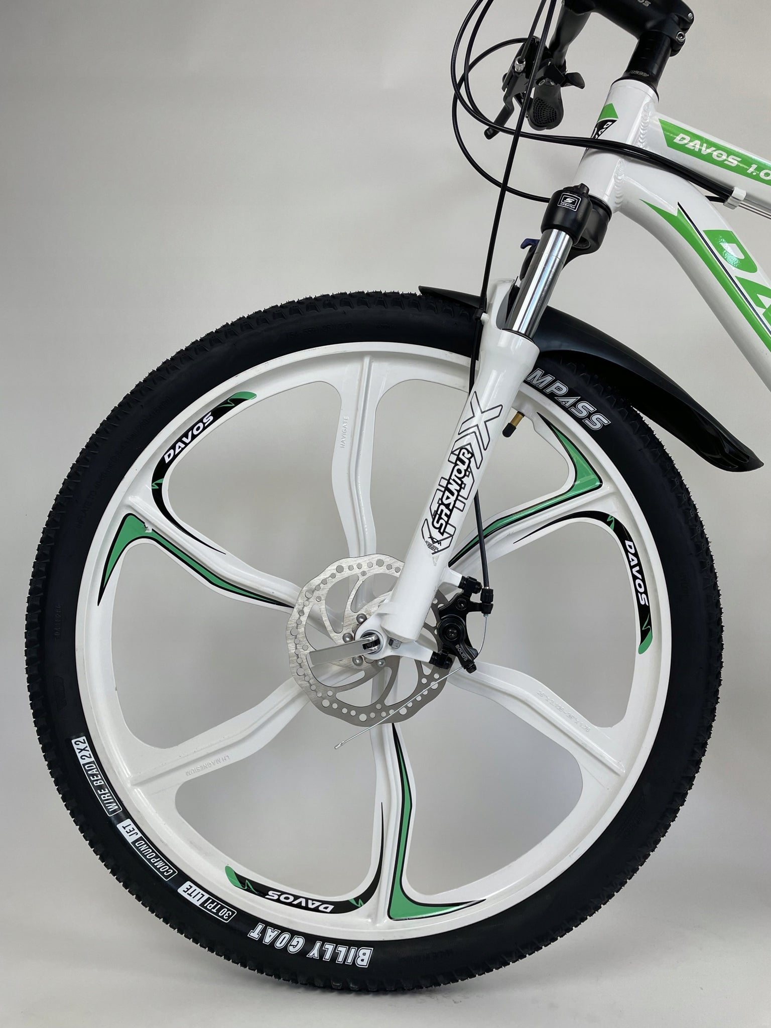 Dviratis Davos 1.0 MTB 17