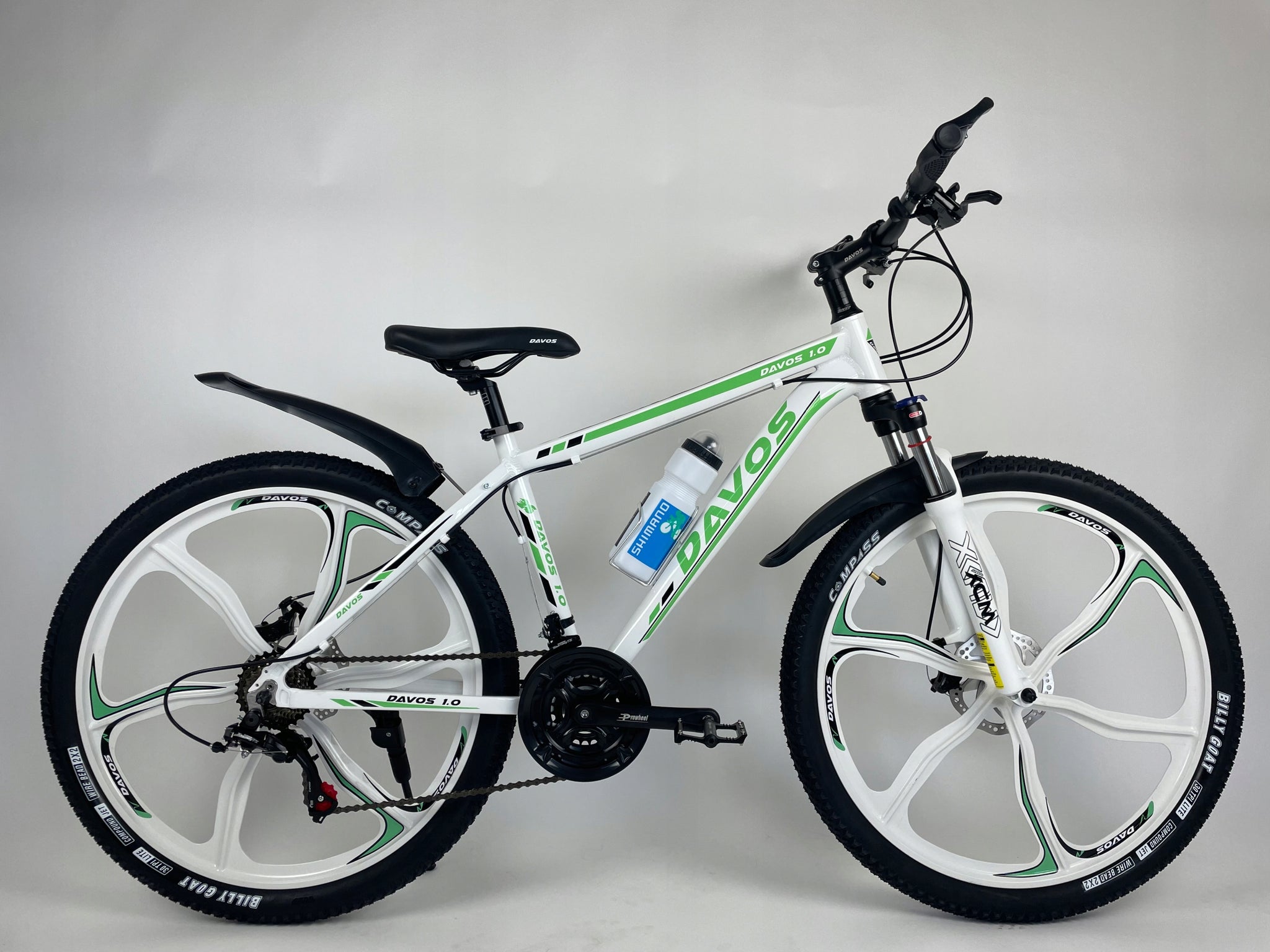 Dviratis Davos 1.0 MTB 17