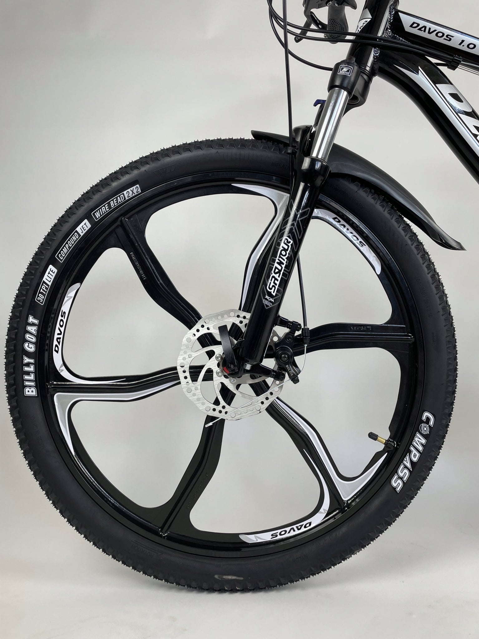 Dviratis Davos 1.0 MTB 17