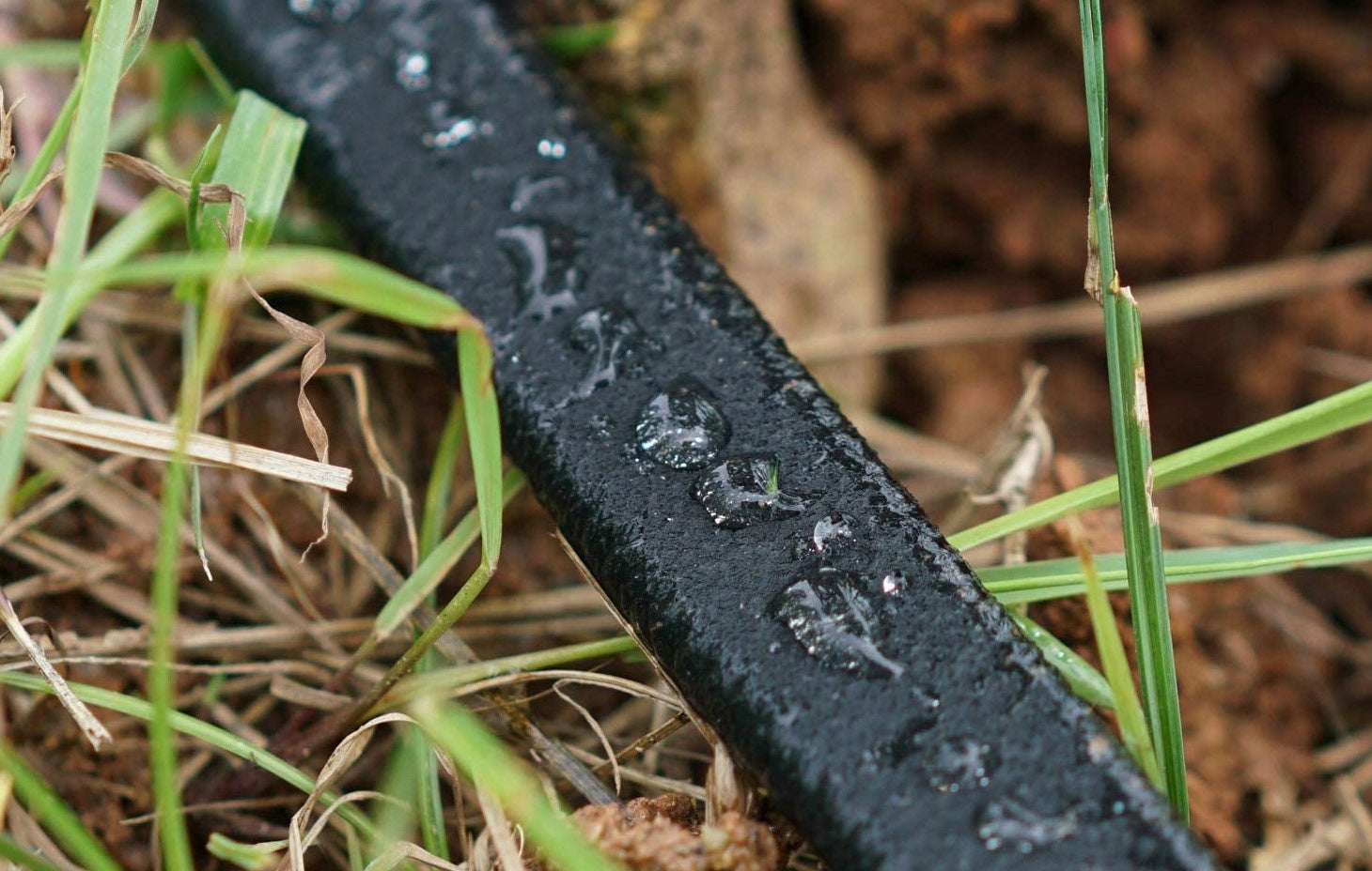 15M Sodo žarna lašeliniam laistymui