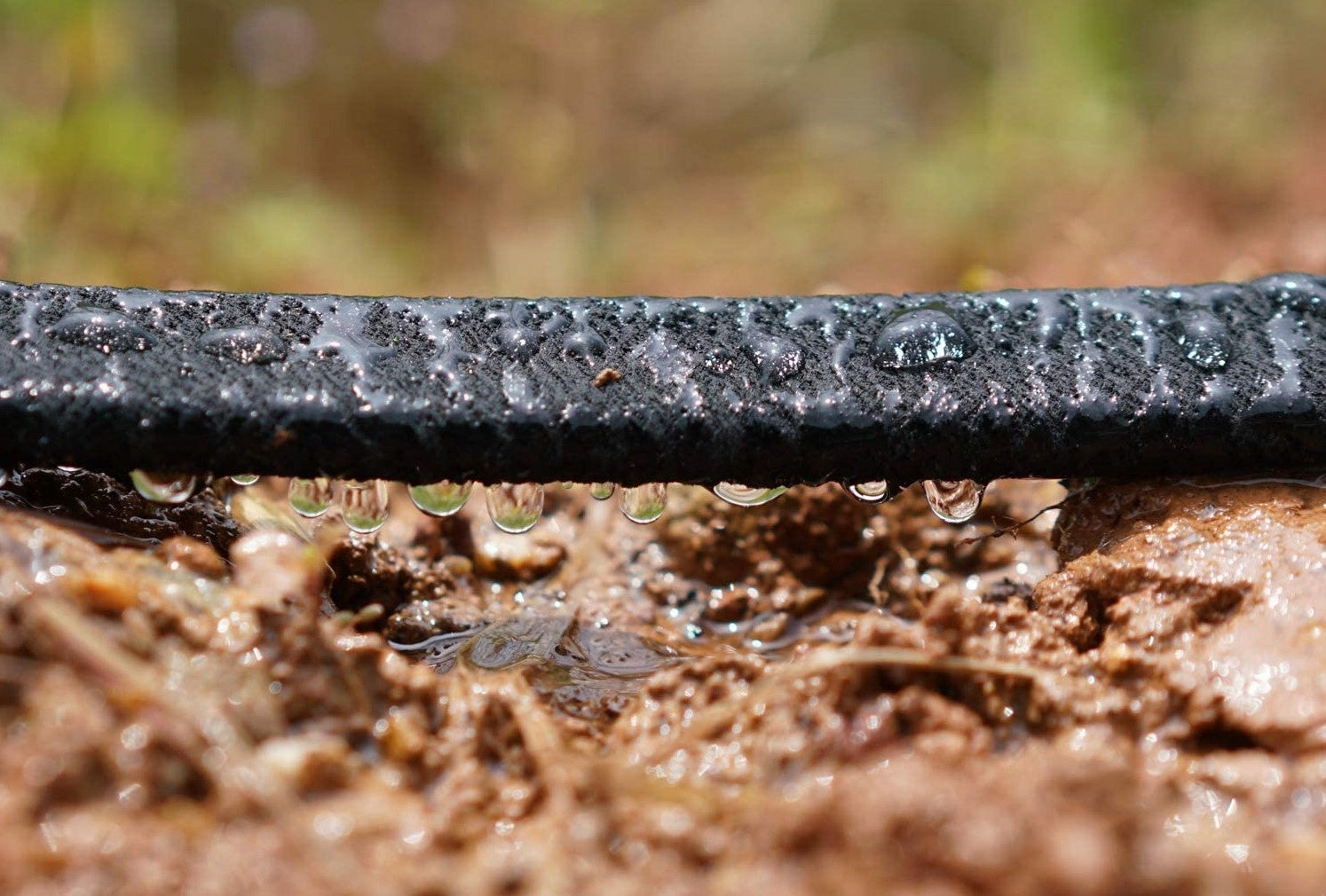 15M Sodo žarna lašeliniam laistymui