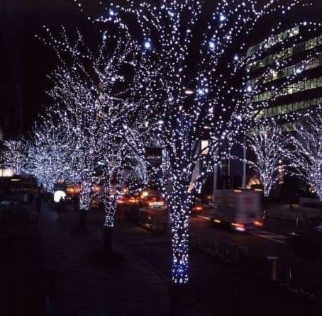 Elektrinė girlianda, 500 LED laukui.