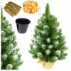 50cm Dirbtinė Kalėdų eglutė + LED girlianda