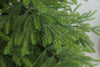 100% PE 250cm Dirbtinė Kalėdų eglutė Spring Nature