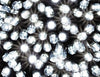 Elektrinė girlianda 300 LED