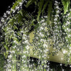 200 LED krioklys