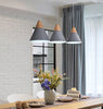Pakabinamas šviestuvas WOOD LOFT SCANDI