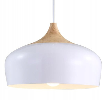 Pakabinamas šviestuvas Toollight BARI APP182-1CP