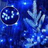 1000 LED kalėdinė girlianda