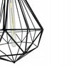 Pakabinamas šviestuvas Diament Loft EDISON