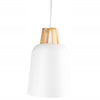 Pakabinamas šviestuvas SCANDI Wood