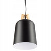 Pakabinamas šviestuvas SCANDI Wood