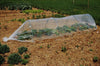 Sodo tunelis 4-10m x 1,5m
