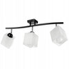 Lubinis šviestuvas LEDLUX E27 3x60W