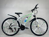 Dviratis Davos 1.0 MTB 17 