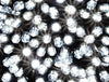 Elektrinė girlianda, 500 LED laukui.